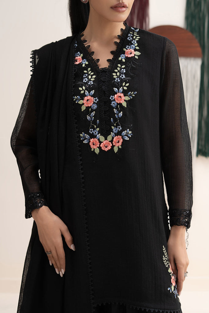 3 Piece Embroidered Cotton Net Suit for Women – Black