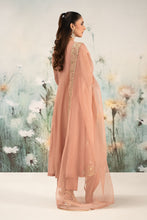 Load image into Gallery viewer, 3 Piece Embroidered Cotton Net Suit for Women - Pink