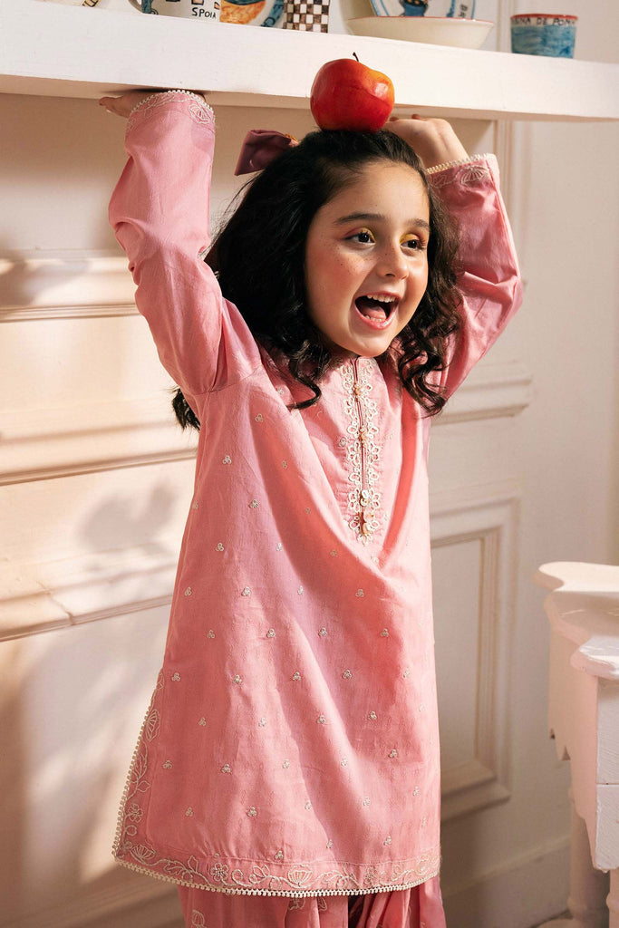 Dobby Lawn 2 Piece Embroidered Suit - Pink