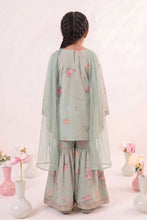 Load image into Gallery viewer, 3 Piece Embroidered Lawn Suit for Girls in Light Green