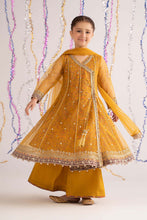Load image into Gallery viewer, Mustard Yellow 3 Piece Embroidered Net Suit for Kids