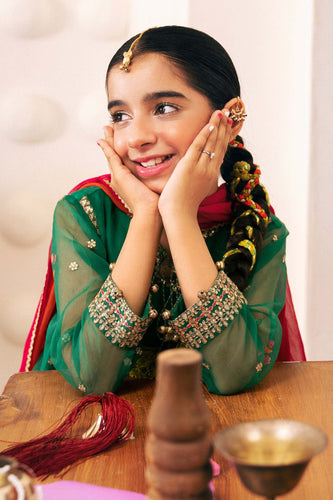 Embroidered Green Organza Frock 3 Piece Suit