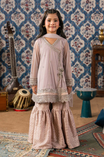 Kids 3 Piece Embroidered Net Suit - Purple