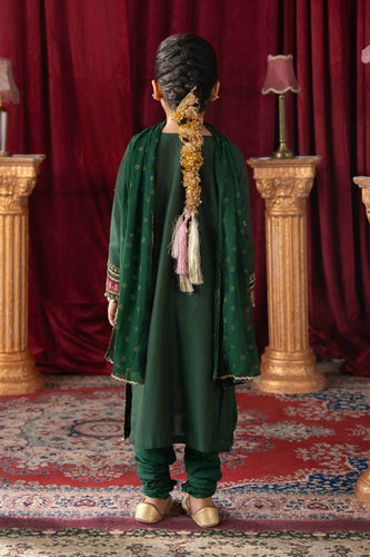 Green 3 Piece Embroidered Yarn Dyed Stripe Suit - Kids