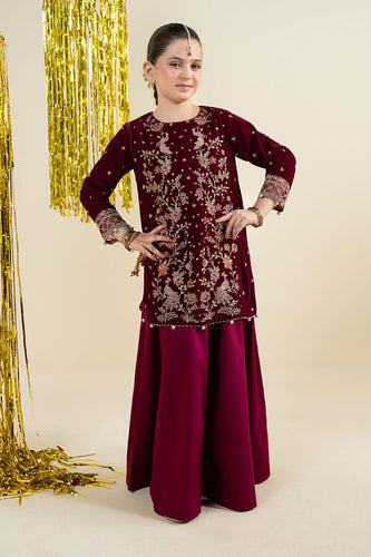 Velvet 2 Piece Embroidered Suit for Girls - Purple