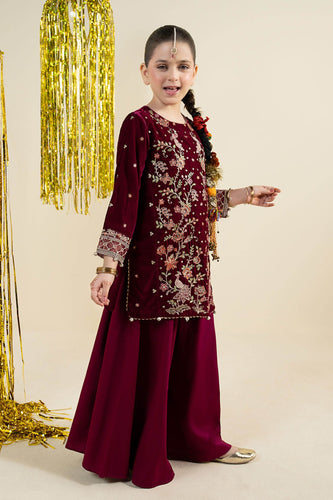 Velvet 2 Piece Embroidered Suit for Girls - Purple
