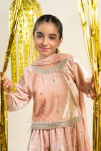 Load image into Gallery viewer, 3 Piece Embroidered Velvet Suit for Girls - Pink