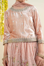 Load image into Gallery viewer, 3 Piece Embroidered Velvet Suit for Girls - Pink