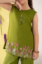 Load image into Gallery viewer, Green 2 Piece Embroidered Organza Suit