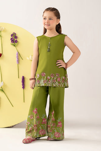 Green 2 Piece Embroidered Organza Suit