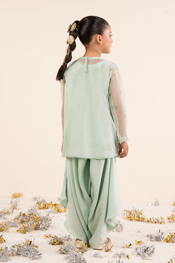 Light Blue 2 Piece Embroidered Organza Suit