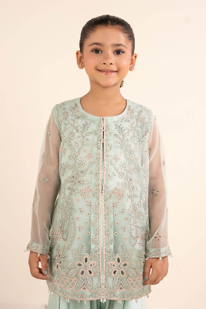 Light Blue 2 Piece Embroidered Organza Suit