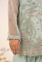 Load image into Gallery viewer, Light Blue 2 Piece Embroidered Organza Suit