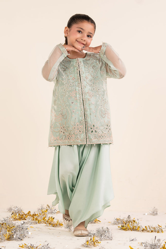 Light Blue 2 Piece Embroidered Organza Suit