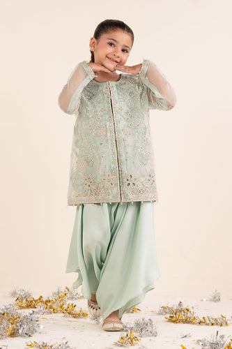 Light Blue 2 Piece Embroidered Organza Suit
