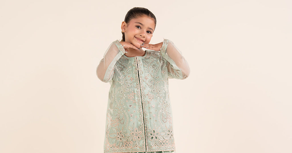 Light Blue 2 Piece Embroidered Organza Suit