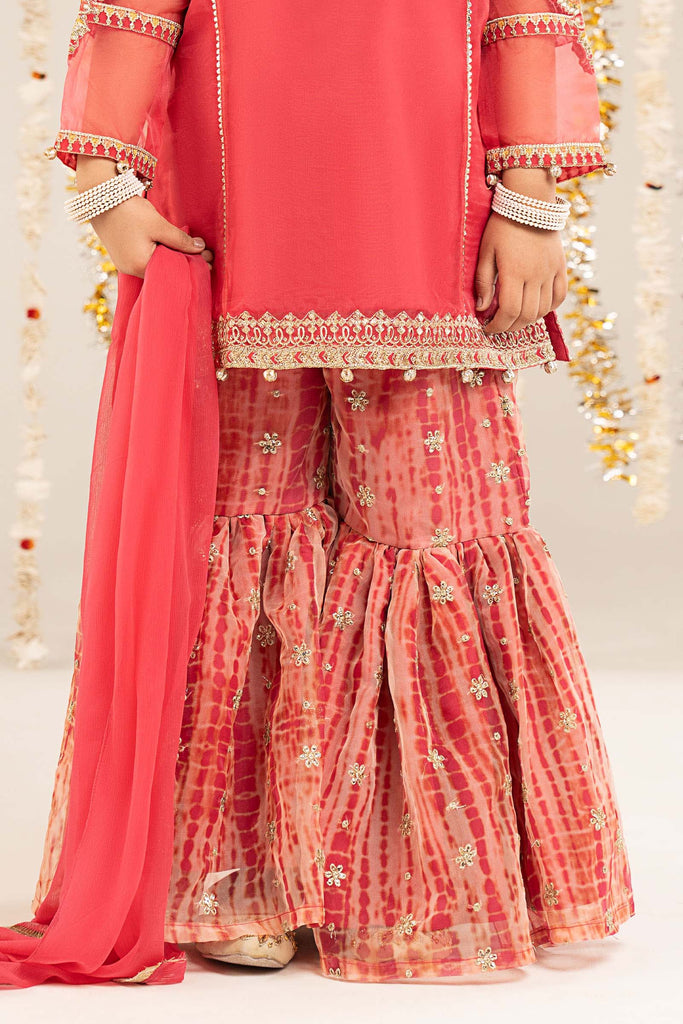 Kids 2 Piece Self Organza Shirt with Gharara - Pink