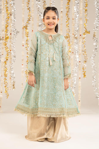 Kids 2 Piece Embroidered Organza Frock Suit - Blue