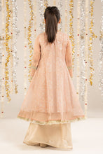 Load image into Gallery viewer, Kids 2 Piece Embroidered Organza Frock Suit - Pink