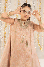 Load image into Gallery viewer, Kids 2 Piece Embroidered Organza Frock Suit - Pink