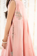 Load image into Gallery viewer, Kids 2 Piece Embroidered Cotton Net Suit - Pink