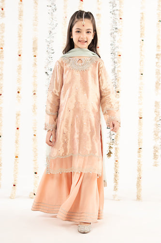 Pink Tissue Embroidered 3 Piece Suit