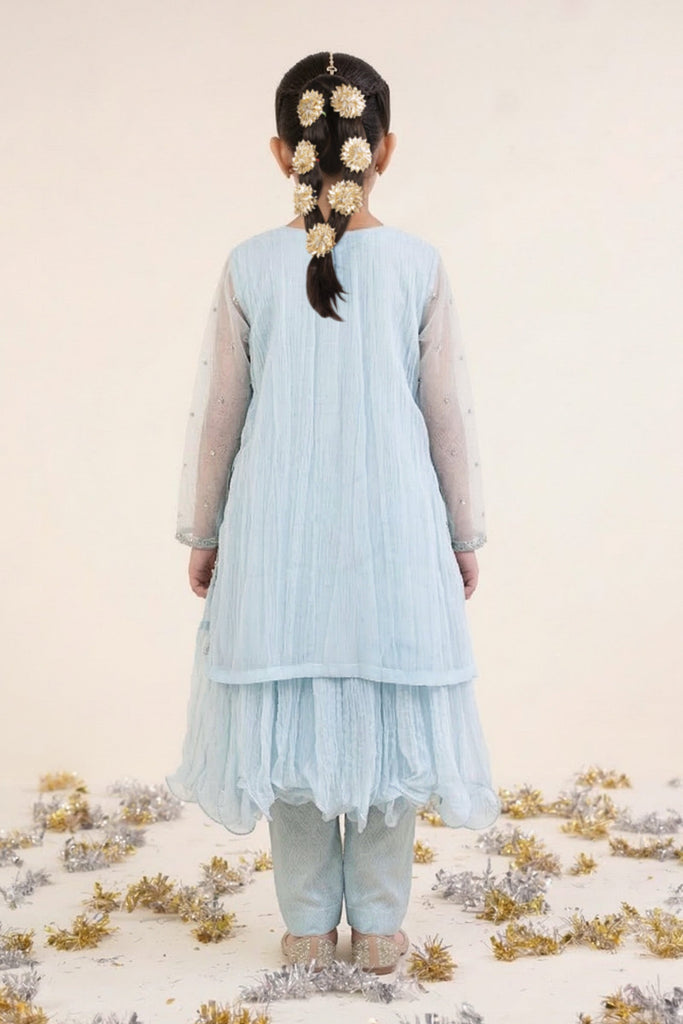Sky Blue 2 Piece Embroidered Organza Suit