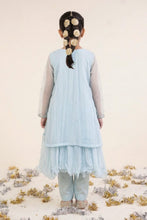 Load image into Gallery viewer, Sky Blue 2 Piece Embroidered Organza Suit