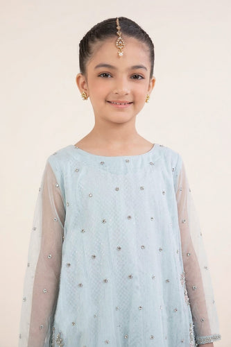 Sky Blue 2 Piece Embroidered Organza Suit