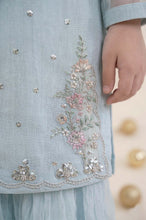 Load image into Gallery viewer, Sky Blue 2 Piece Embroidered Organza Suit