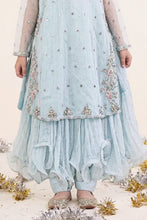 Load image into Gallery viewer, Sky Blue 2 Piece Embroidered Organza Suit