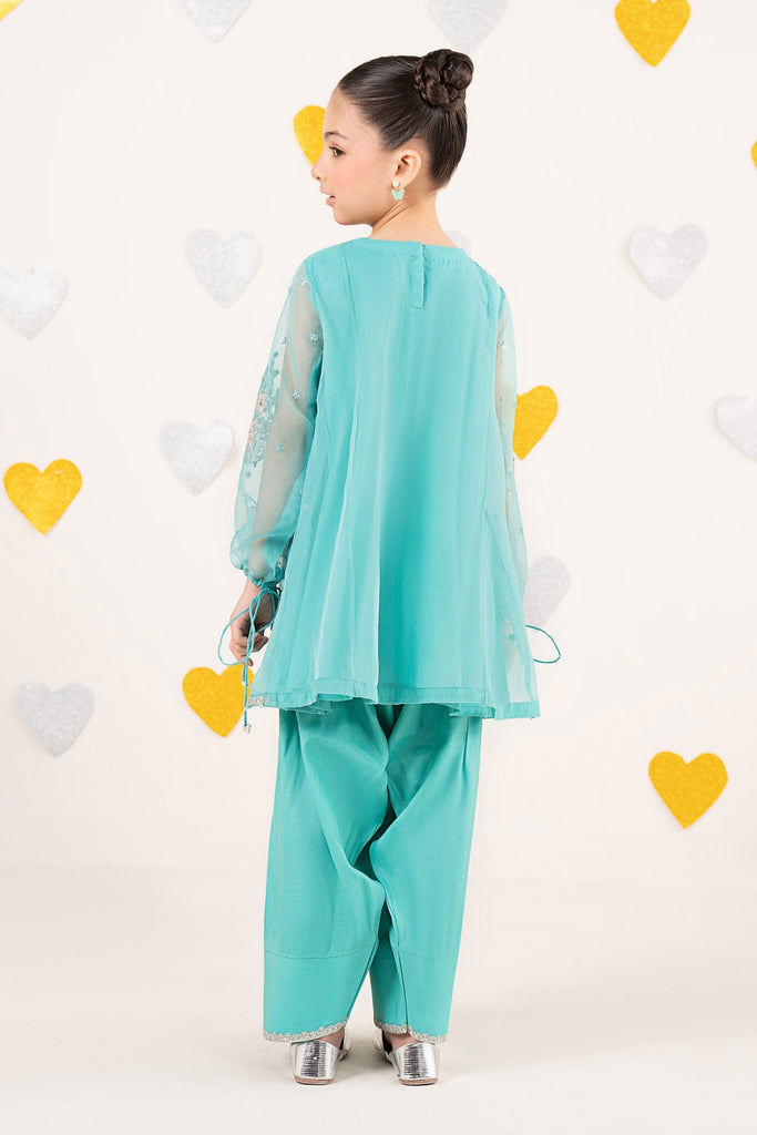Aqua Blue 2 Piece Embroidered Organza Suit