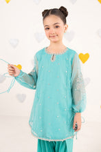 Load image into Gallery viewer, Aqua Blue 2 Piece Embroidered Organza Suit