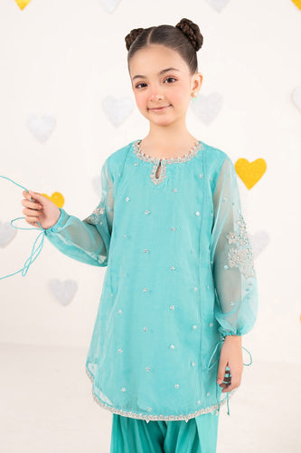Aqua Blue 2 Piece Embroidered Organza Suit