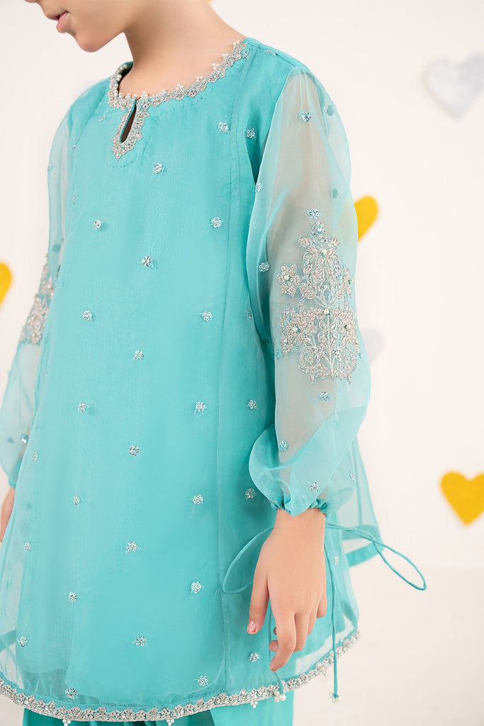 Aqua Blue 2 Piece Embroidered Organza Suit