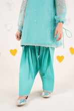 Load image into Gallery viewer, Aqua Blue 2 Piece Embroidered Organza Suit