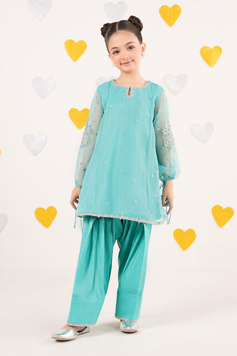 Aqua Blue 2 Piece Embroidered Organza Suit
