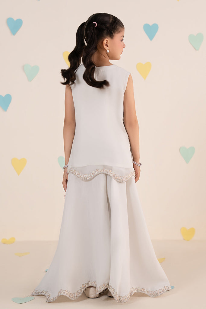 Aqua Blue 2 Piece Embroidered Chiffon Suit