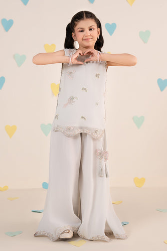 Aqua Blue 2 Piece Embroidered Chiffon Suit