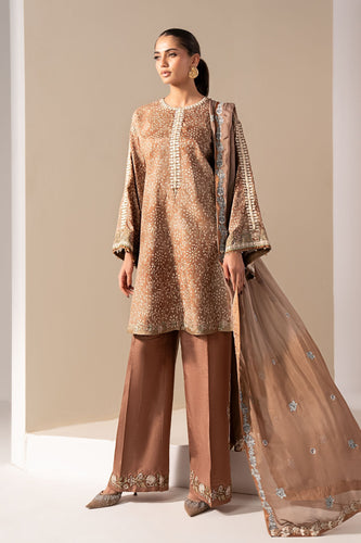 3 Piece Embroidered Silk Suit for Women – Brown