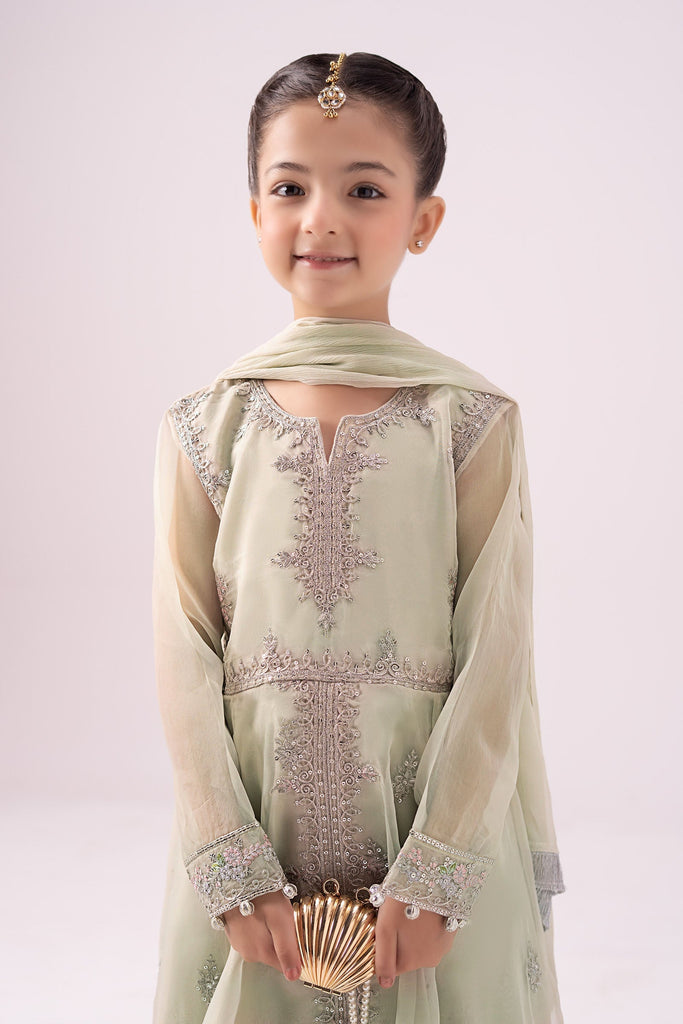 Kids 3 Piece Embroidered Organza Suit - Mint Green