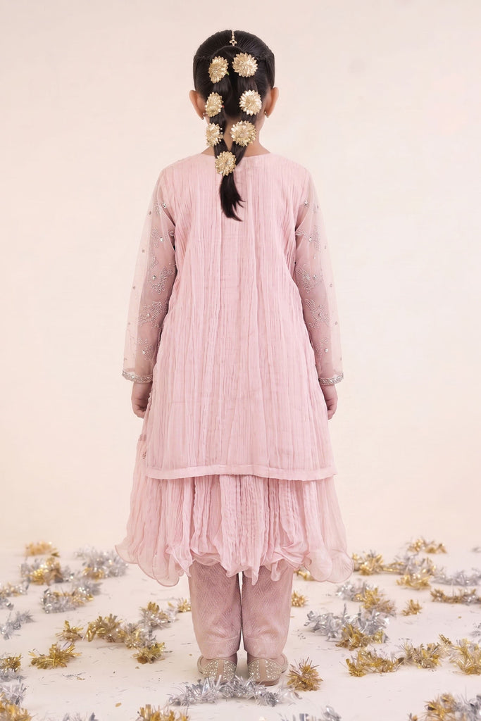 Pink Spray Embroidered Organza 2 Piece Suit