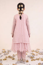 Load image into Gallery viewer, Pink Spray Embroidered Organza 2 Piece Suit