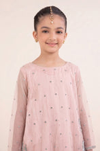 Load image into Gallery viewer, Pink Spray Embroidered Organza 2 Piece Suit
