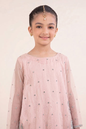 Pink Spray Embroidered Organza 2 Piece Suit