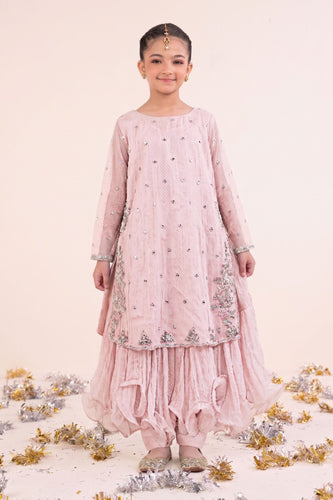 Pink Spray Embroidered Organza 2 Piece Suit