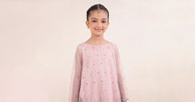 Load image into Gallery viewer, Pink Spray Embroidered Organza 2 Piece Suit