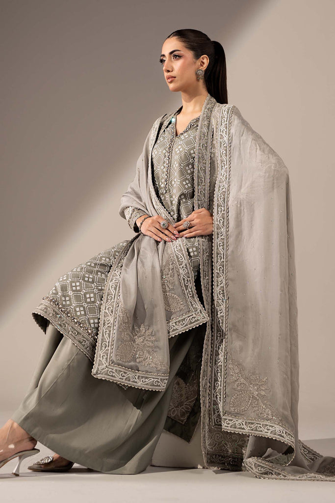 3 Piece Embroidered Organza Gown Suit - Grey