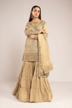 Load image into Gallery viewer, 3 Piece Apple Green Embroidered Chiffon Suit
