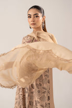 Load image into Gallery viewer, 3 Piece Schiffli Embroidered Raw Silk Suit – Beige